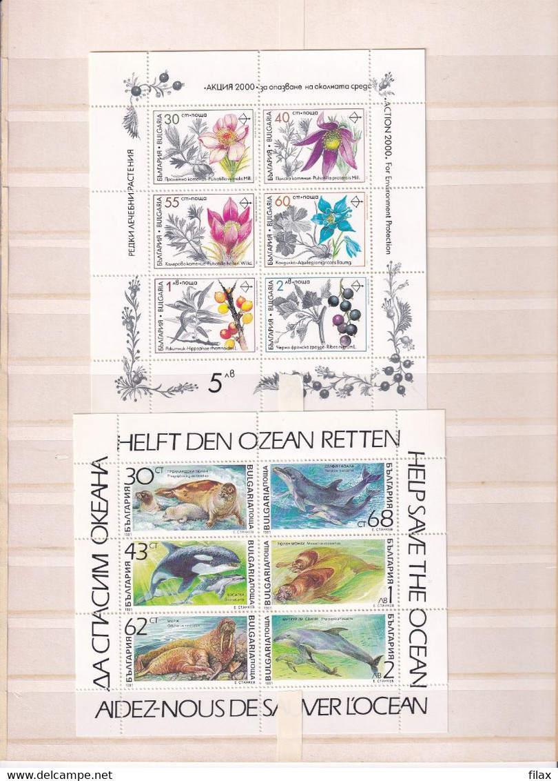 LOT BUL 91CY2 - Bulgaria 1991 - Complete Year MNH - Années Complètes