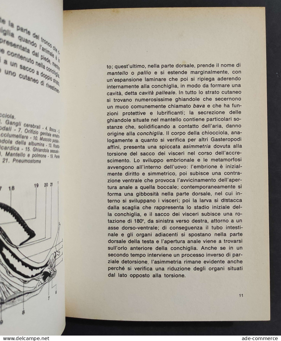 L'allevamento Redditizio Delle Lumache - F. M. Fazio - Ed. De Vecchi - 1976                                              - Tiere