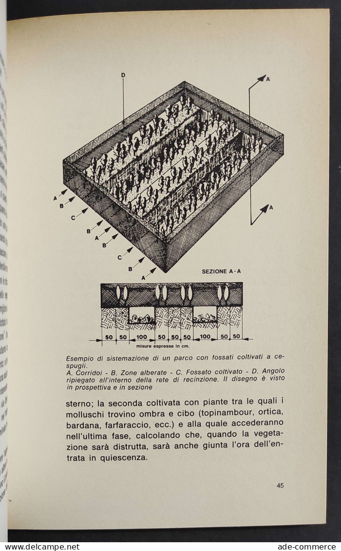 L'allevamento Redditizio Delle Lumache - F. M. Fazio - Ed. De Vecchi - 1976                                              - Animales De Compañía