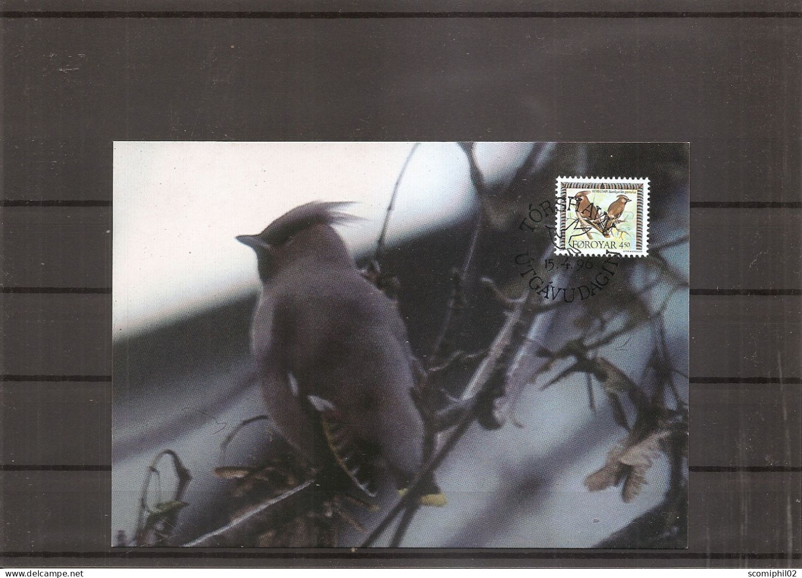 Moineaux (  CM Des Feroe De 1996 à Voir) - Sparrows