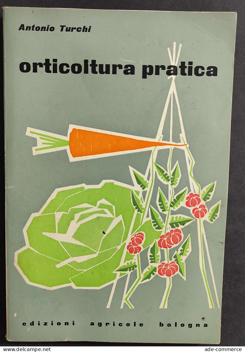 Orticoltura Pratica - A. Turchi - Ed. Agricole Bologna - 1962                                                            - Jardinería