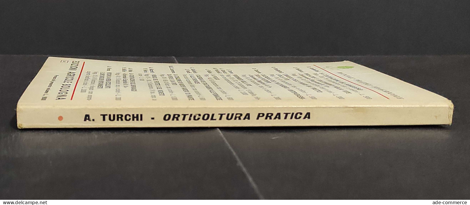 Orticoltura Pratica - A. Turchi - Ed. Agricole Bologna - 1962                                                            - Jardinage