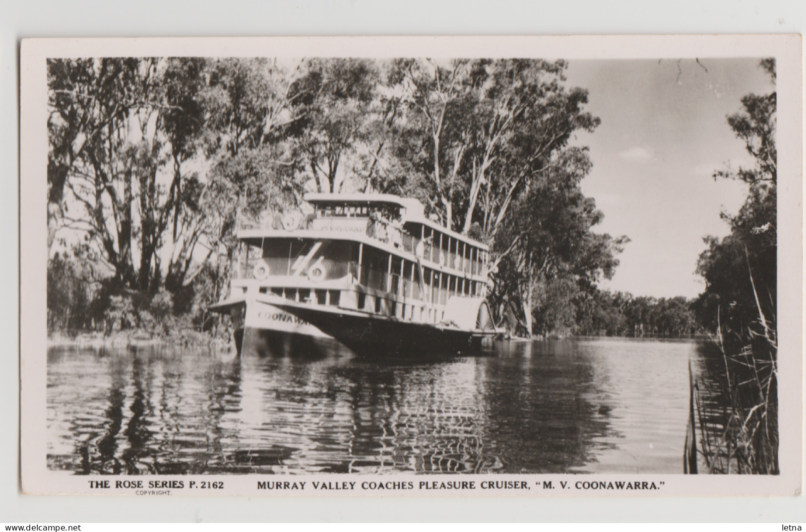 Australia VICTORIA Murray Valley Paddle Boat COONAWARRA MILDURA Postcard 1 Rose P2162 C1950s - Mildura