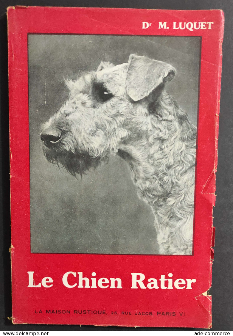 Le Chien Retier - M. Loquet                                                                                              - Animaux De Compagnie