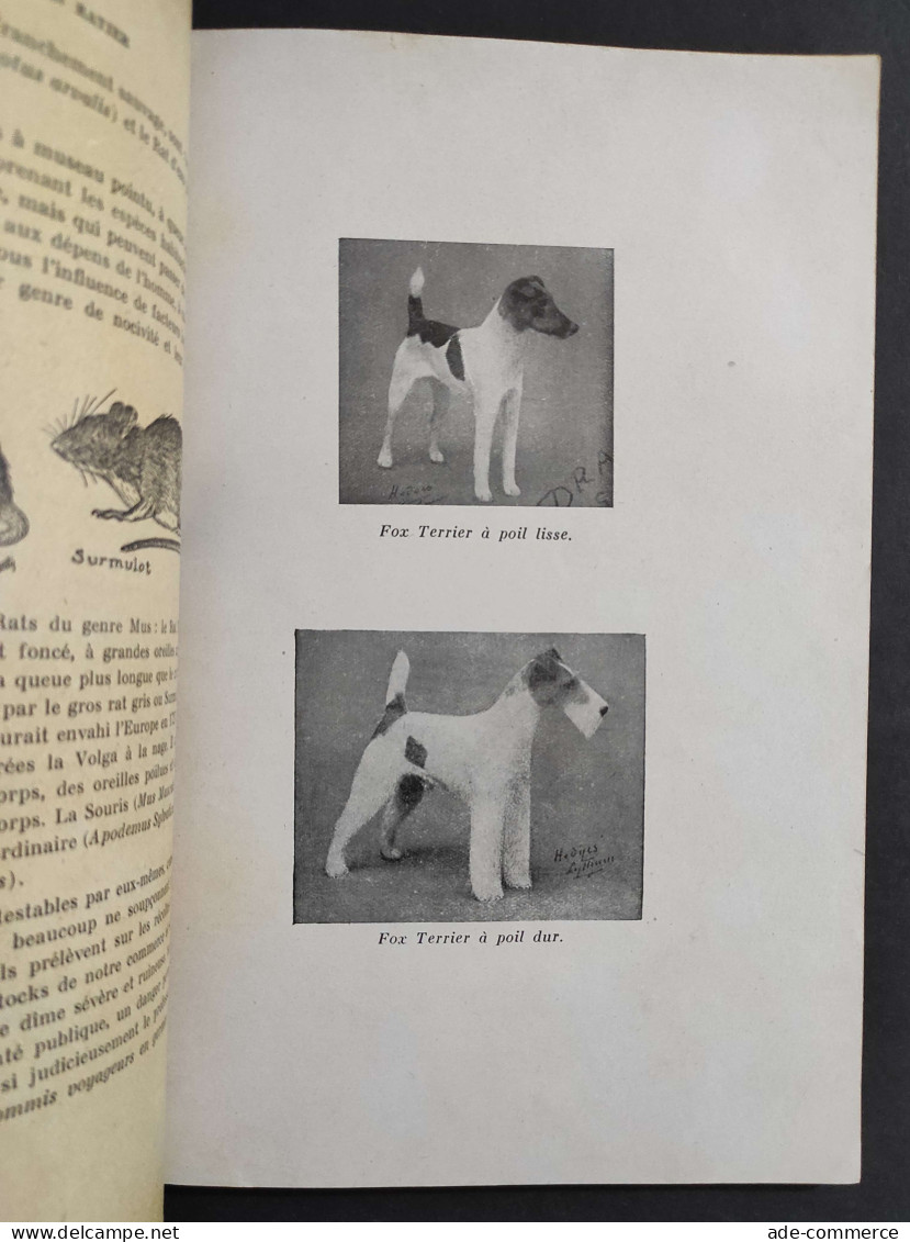 Le Chien Retier - M. Loquet                                                                                              - Gezelschapsdieren