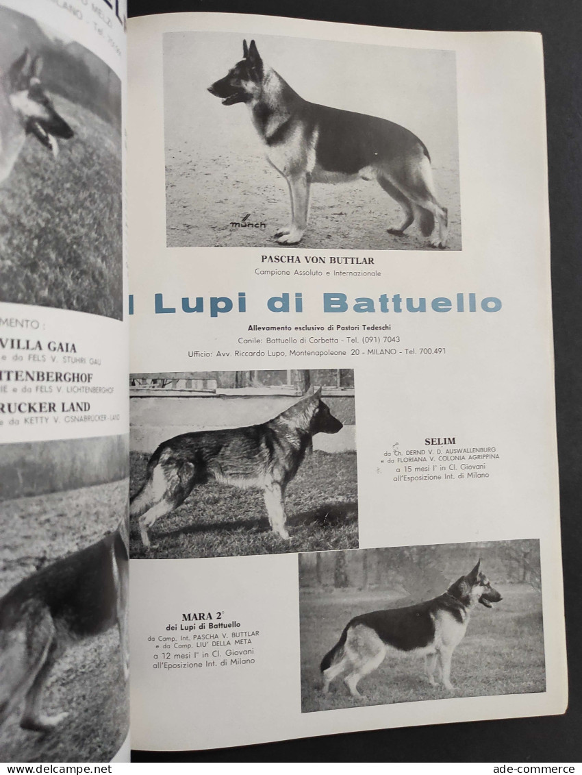 Rassegna Cinofila Numero Speciale 1959 - ENCI                                                                            - Gezelschapsdieren