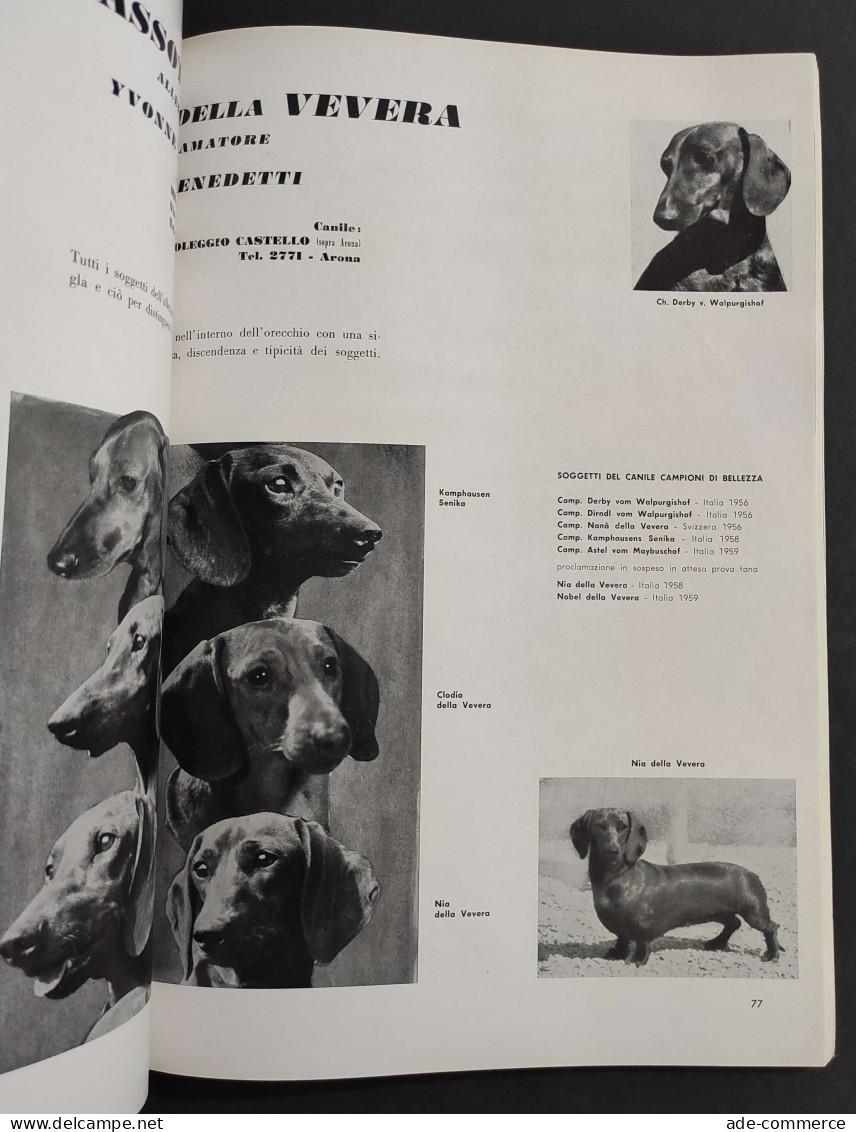 Rassegna Cinofila Numero Speciale 1959 - ENCI                                                                            - Animaux De Compagnie