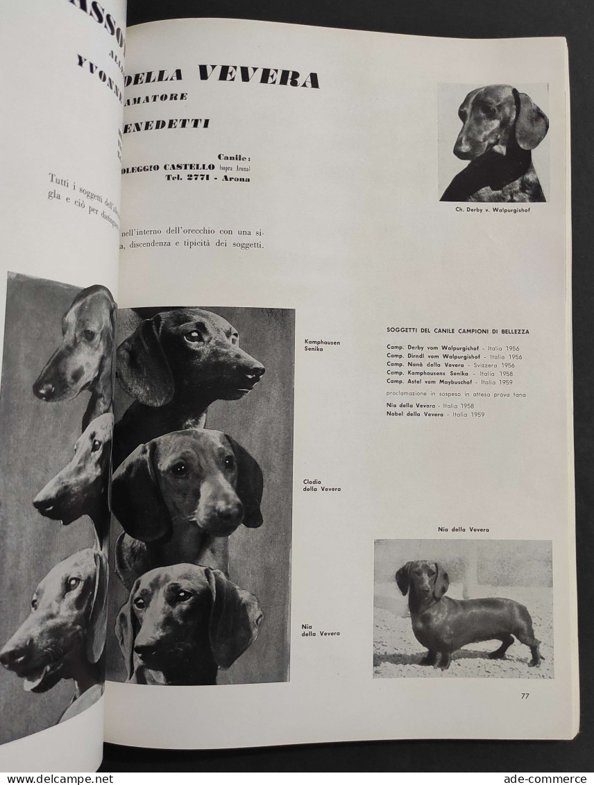 Rassegna Cinofila Numero Speciale 1959 - ENCI                                                                            - Animali Da Compagnia