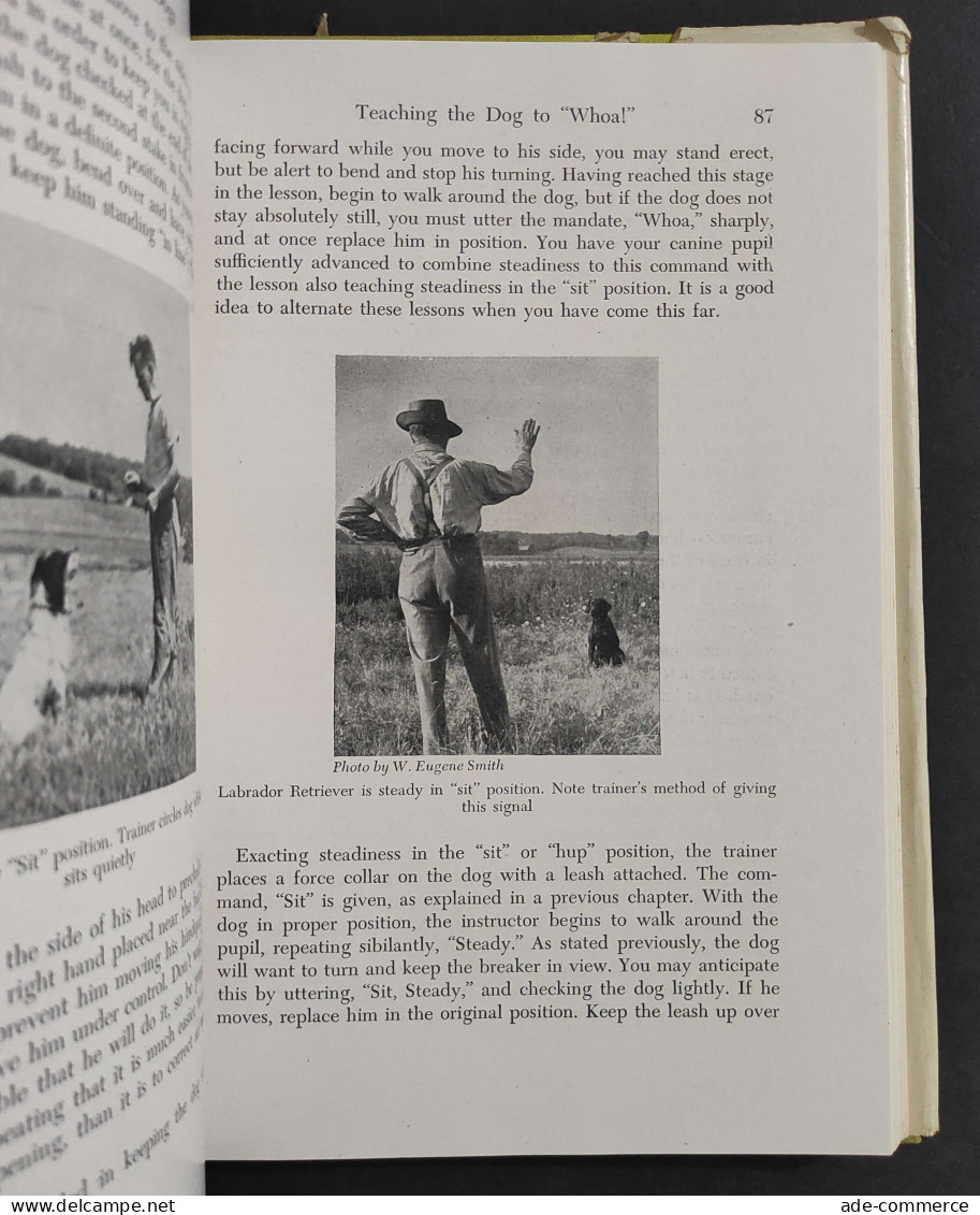 How To Train Hunting Dogs - W. F. Brown - Ed. Barnes And Co.                                                             - Fischen Und Jagen