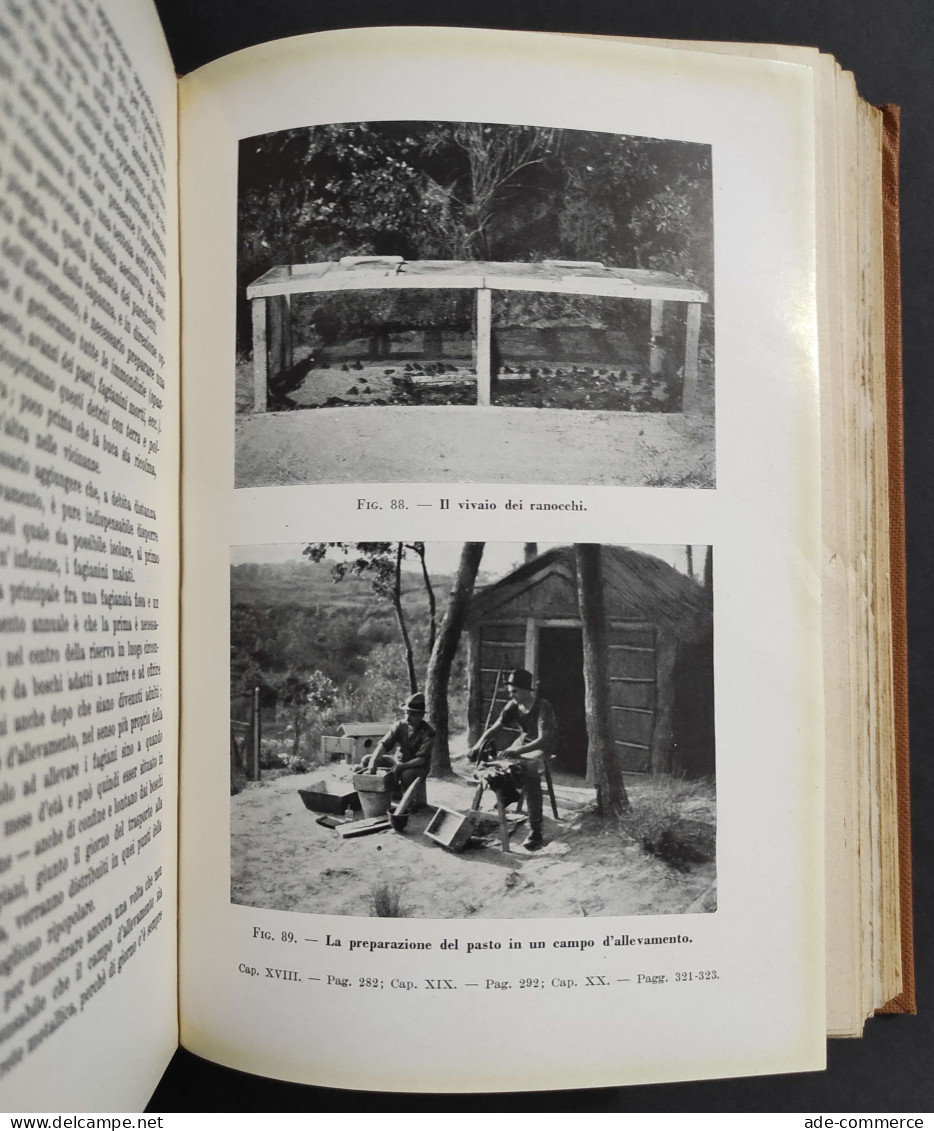 Starne Fagiani E Lepri L'allevamento - E. Scheibler - Ed. Olimpia - 1957                                                 - Hunting & Fishing