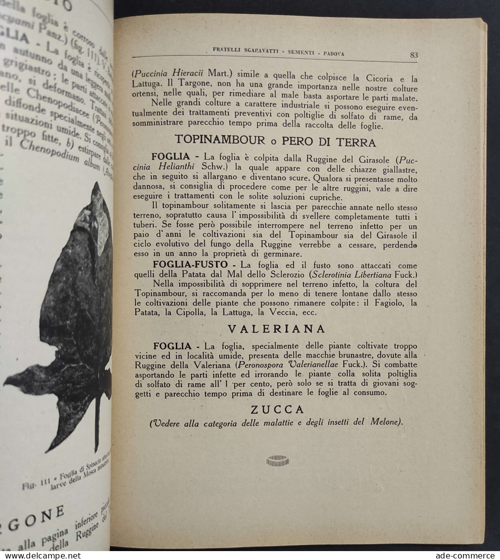 I Nemici Dell'Ortolano - Frat. Sgaravatti - Ist. Veneto Arti Grafiche - 1932                                             - Jardinería