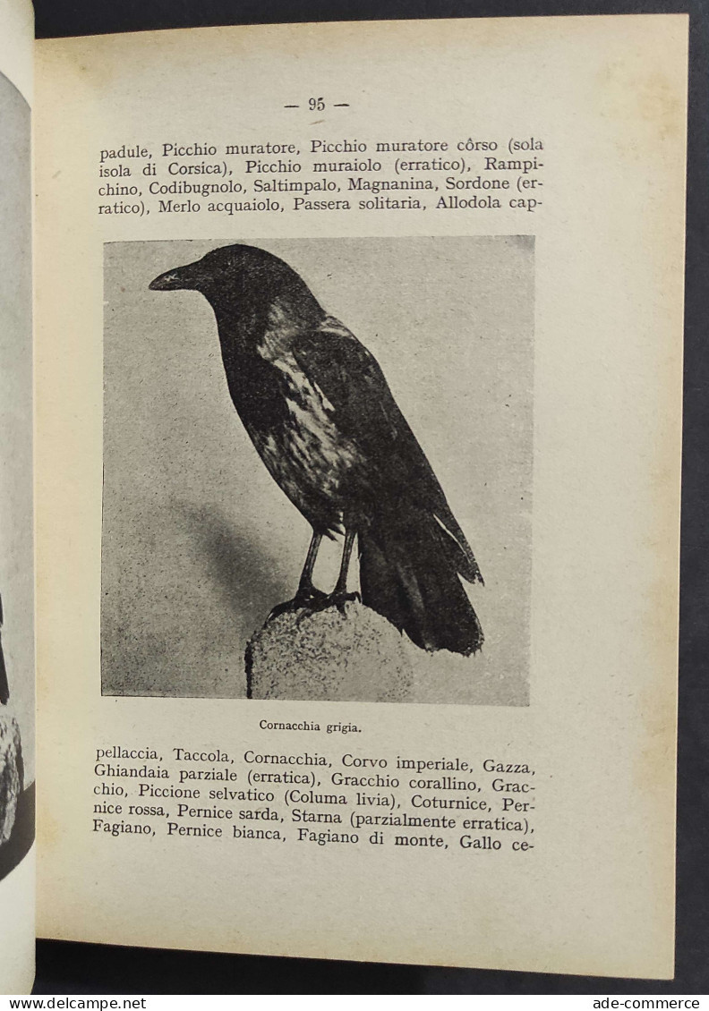 Caccia - Cani E Fucili - Il Libro Del Cacciatore - L. Ugolini - Ed. Olimpia - 1941                                       - Caccia E Pesca