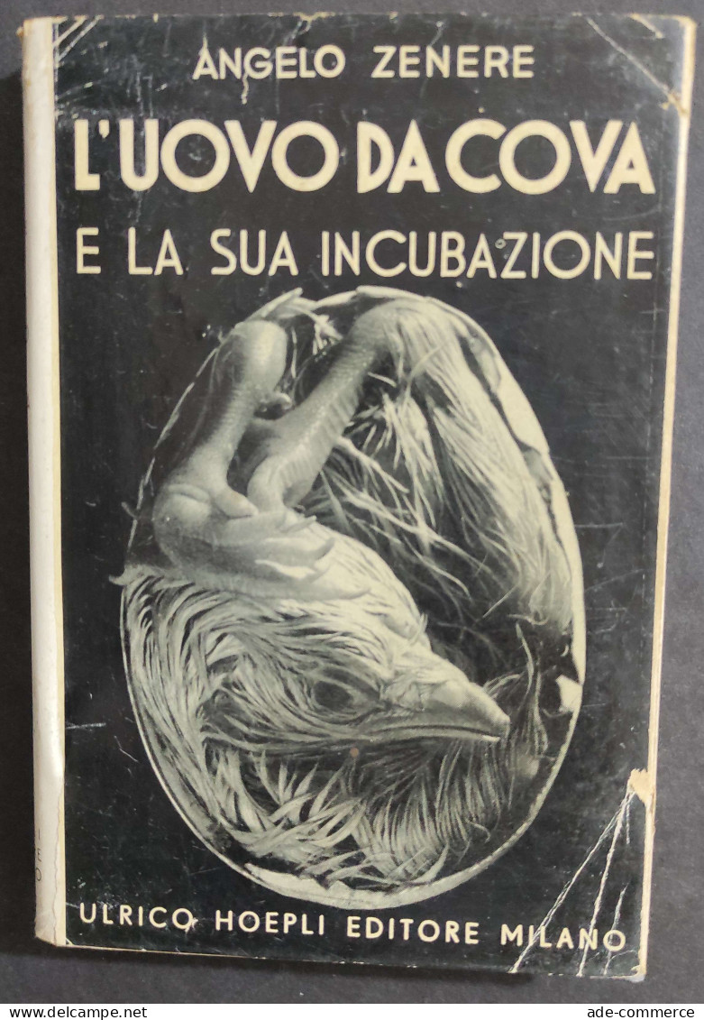 L'Uovo Da Cova E La Sua Incubazione - A. Zenere - Ed. Hoepli - 1939                                                      - Manuali Per Collezionisti