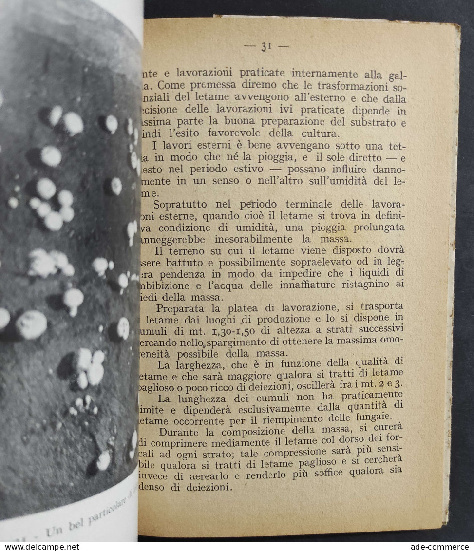 La Coltivazione Dei Funghi Commestibili - C. Barberis - Ed. Capelli - 1948                                               - Gardening