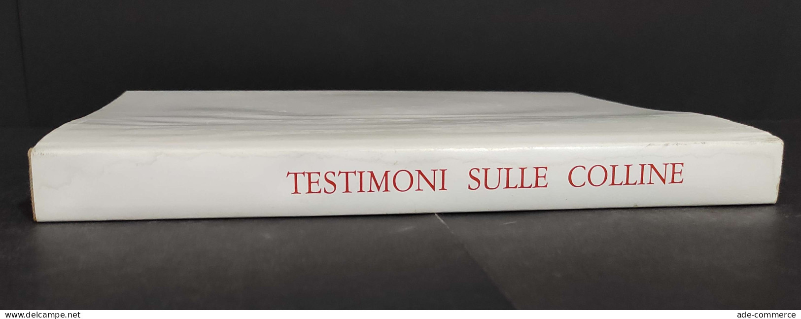 Testimoni Sulle Colline - Testi E Immagini Mendrisotto - Ed. Vignalunga - 1988                                           - Arts, Antiquity
