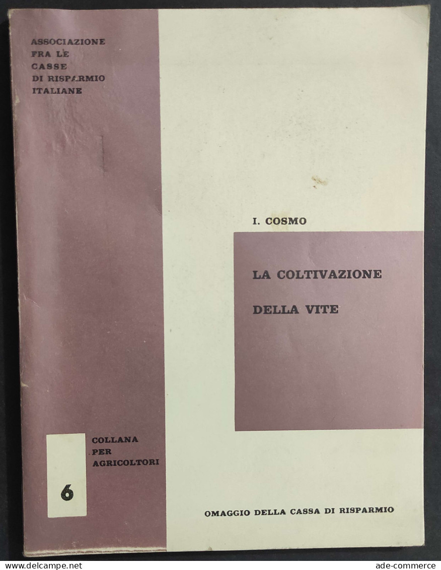 La Coltivazione Della Vite - I. Cosmo - 1961                                                                             - Giardinaggio