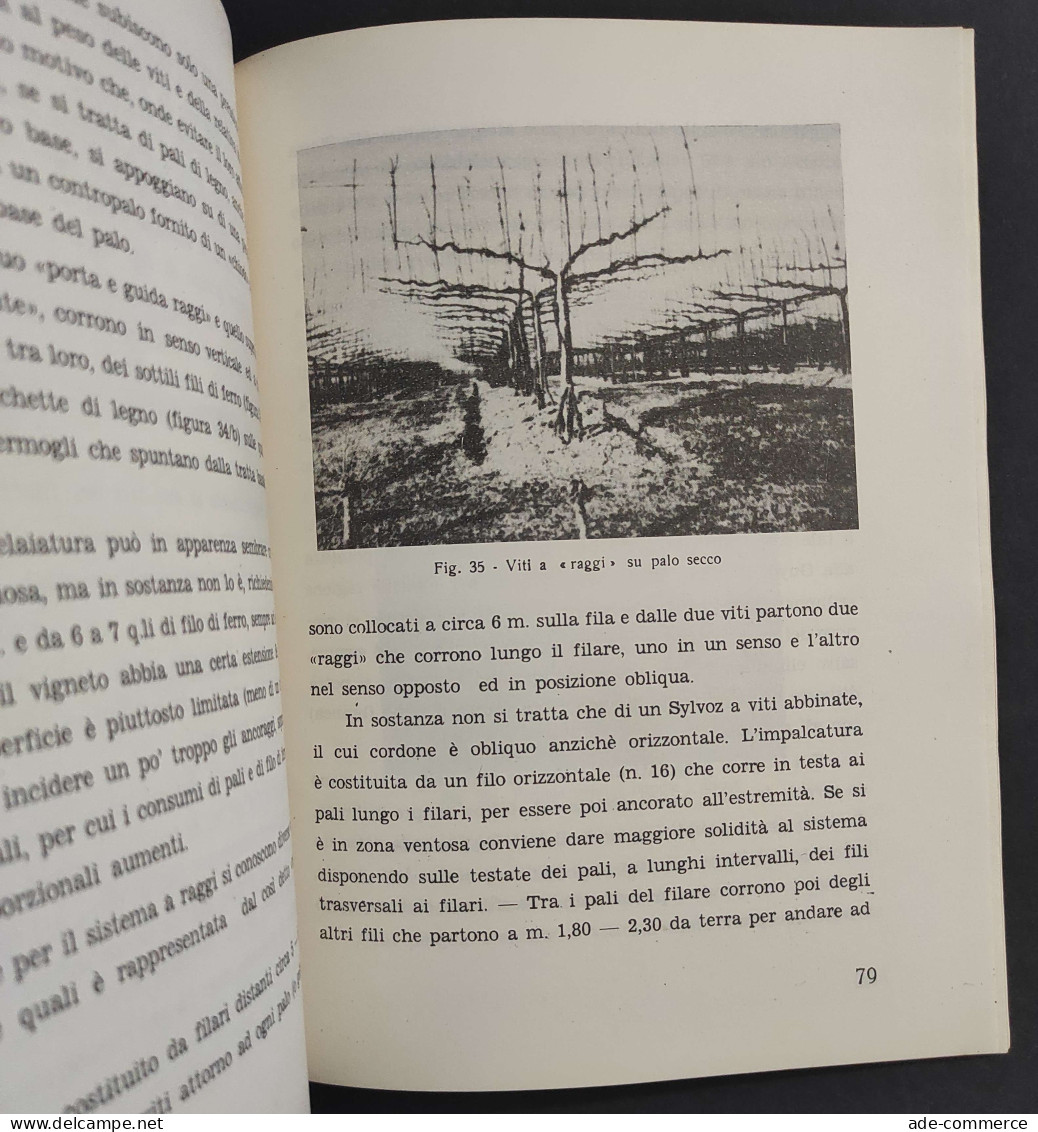 La Coltivazione Della Vite - I. Cosmo - 1961                                                                             - Jardinería