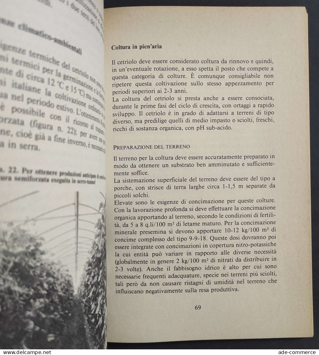 Come Avere Primizie Dell'Orto Tutto L'Anno - M. Brunelli - Ed. De Vecchi - 1985                                          - Gardening