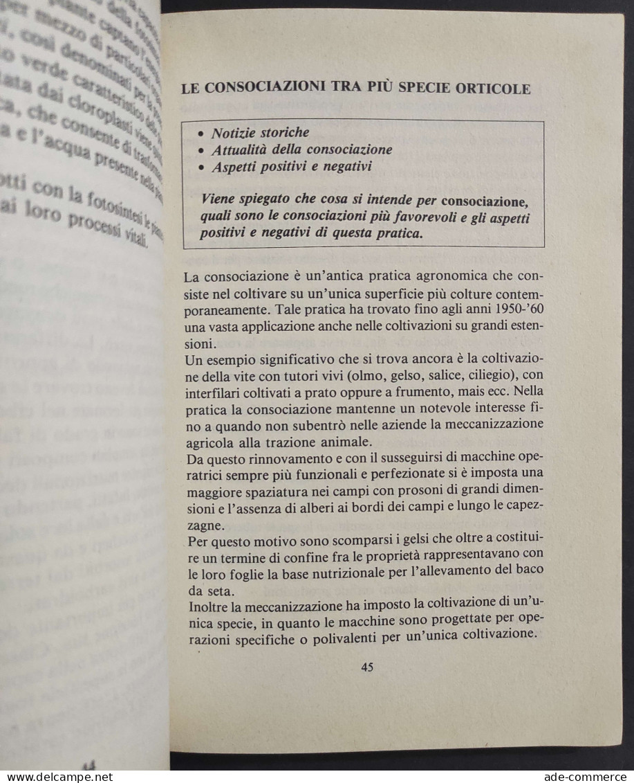 58 Segreti Per Ottenere Risultati Eccezionali Dal Vostro Orto - Ed. De Vecchi - 1987                                     - Garten