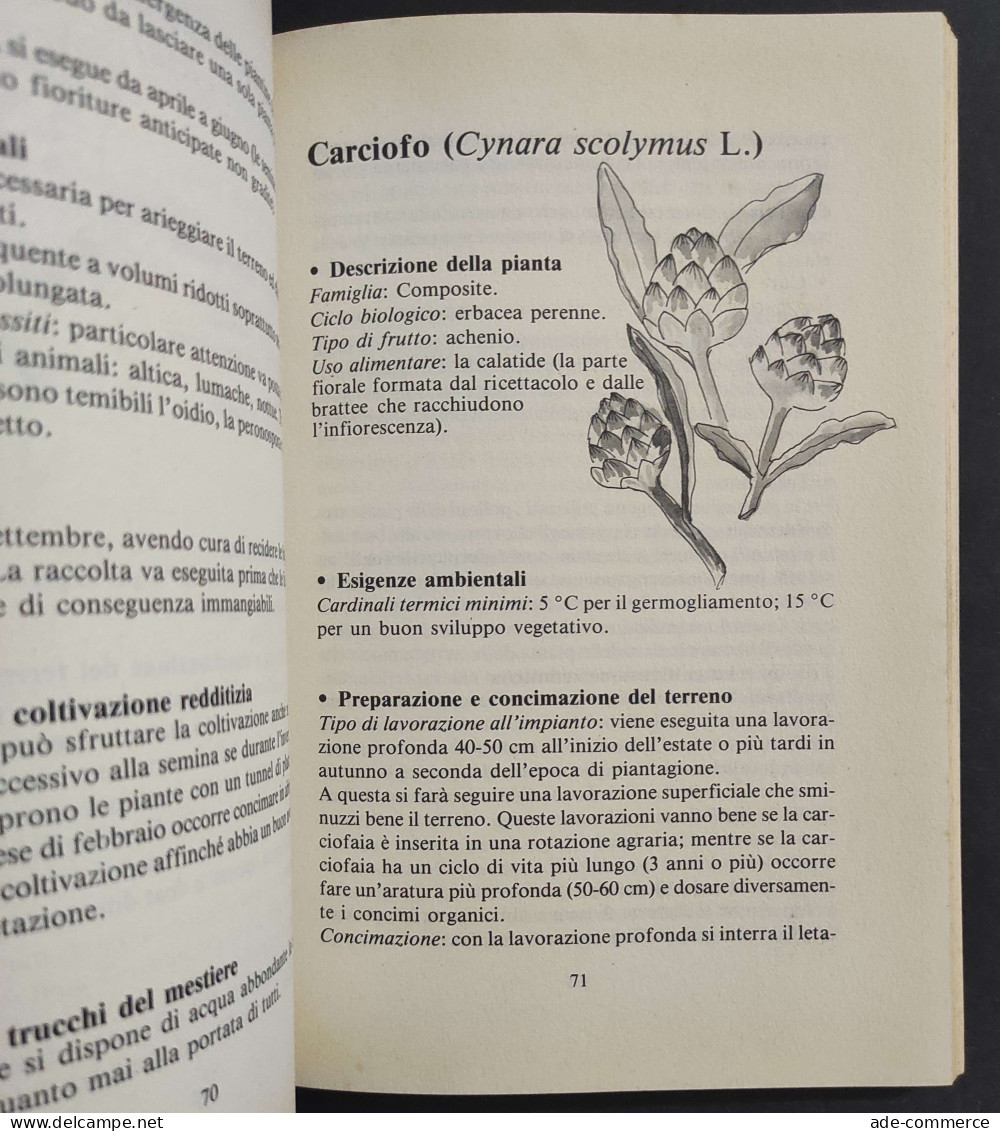 58 Segreti Per Ottenere Risultati Eccezionali Dal Vostro Orto - Ed. De Vecchi - 1987                                     - Gardening