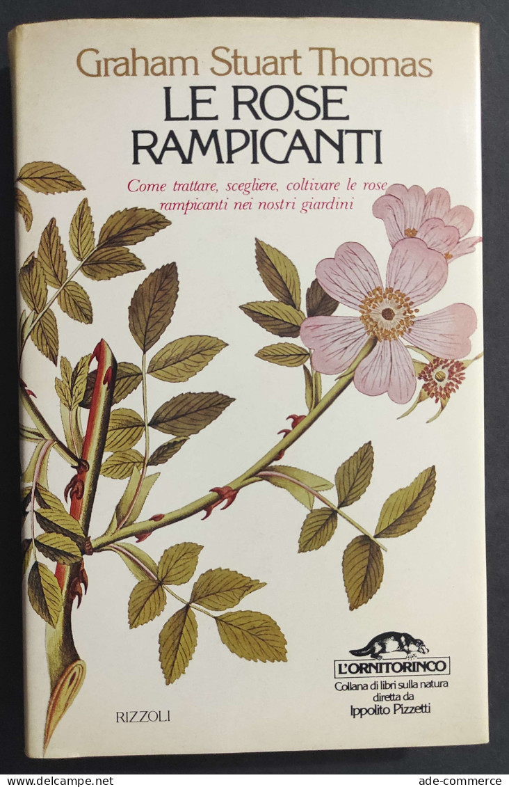 Le Rose Rampicanti - G. S. Thomas - Ed. Rizzoli - L'Ornitorinco - 1980                                                   - Jardinería