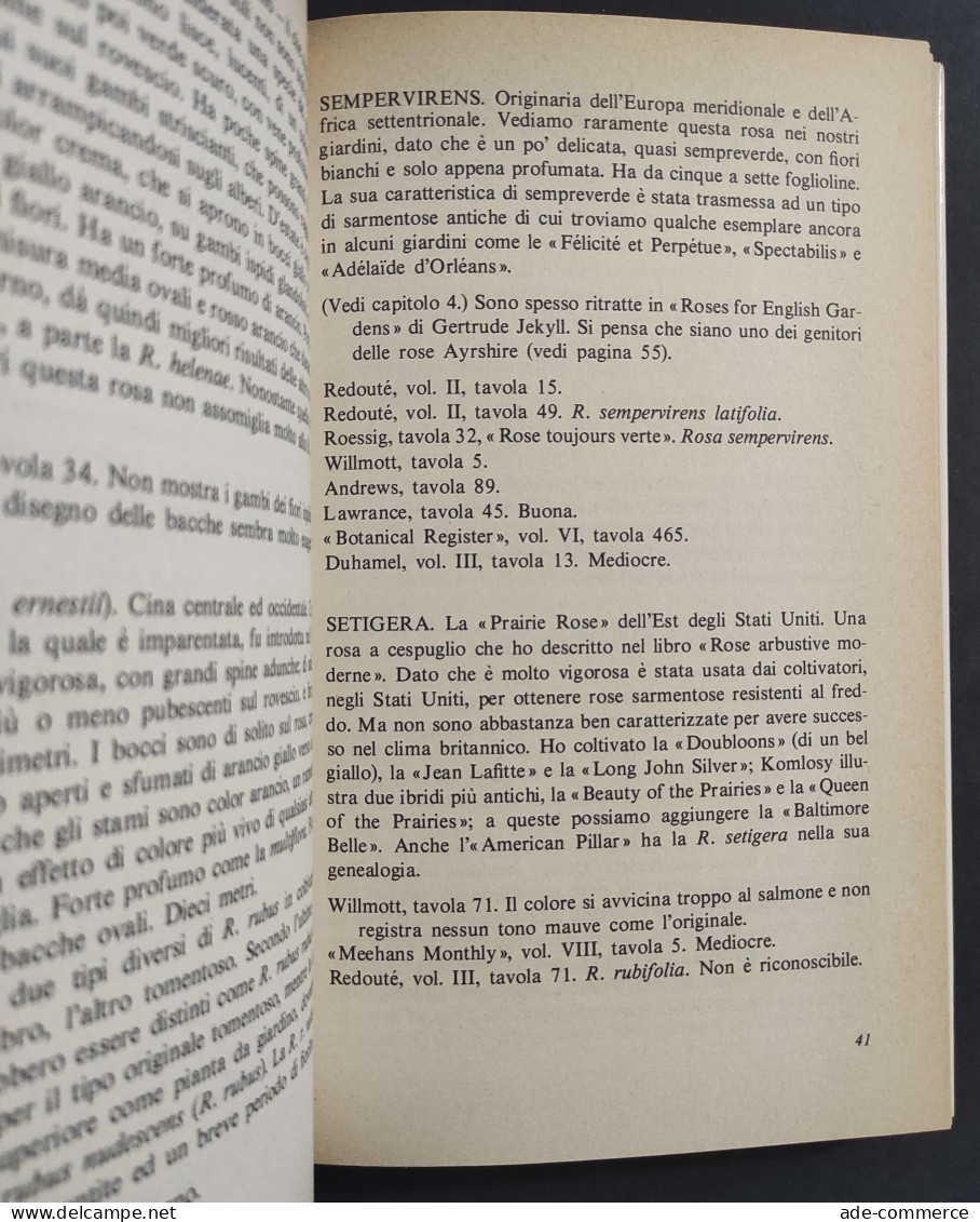 Le Rose Rampicanti - G. S. Thomas - Ed. Rizzoli - L'Ornitorinco - 1980                                                   - Jardinage