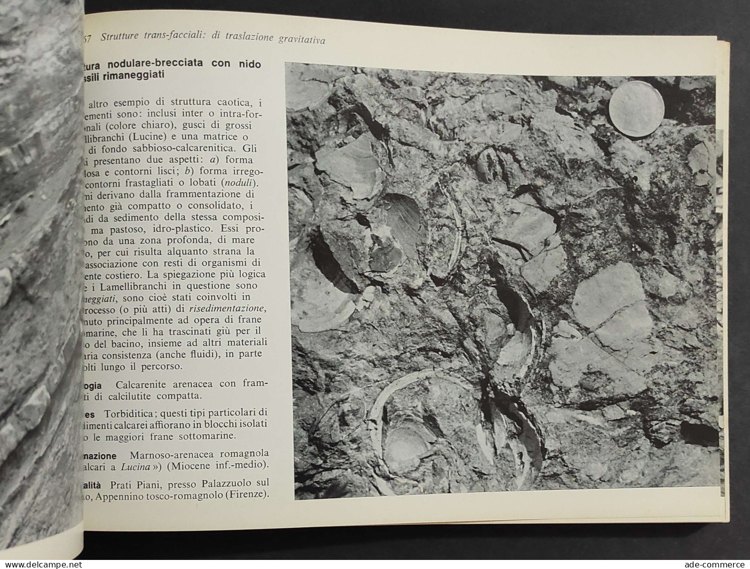 Sedimentografia - Atlante Strutture Primarie Sedimenti - Ed. Zanichelli - 1974                                           - Mathematik Und Physik