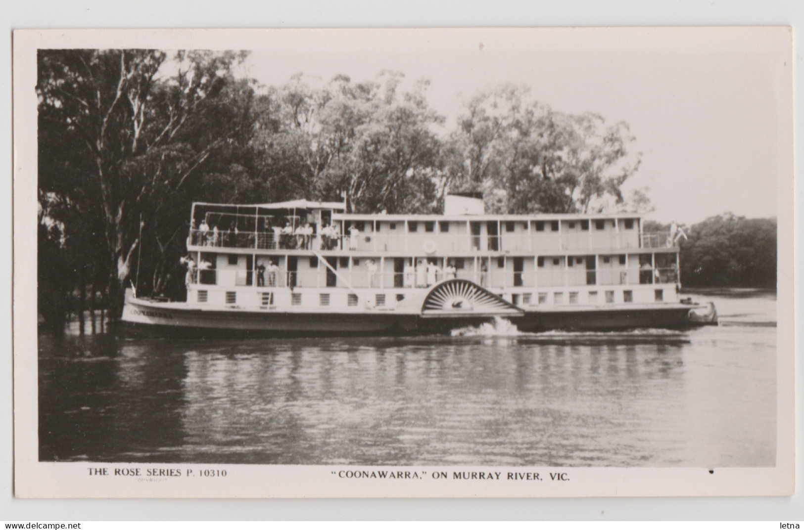 Australia VICTORIA Murray Valley Paddle Boat COONAWARRA MILDURA Postcard 3 Rose P10310 C1950s - Mildura