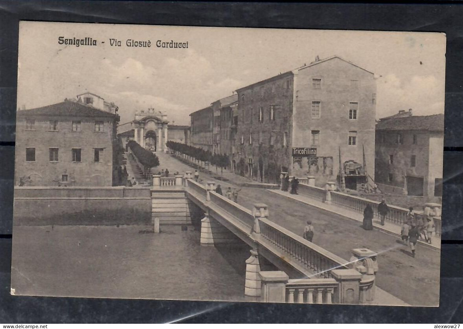 Senigaglia 1915 Via Giosuè Carducci Viaggata / Animata - Senigallia