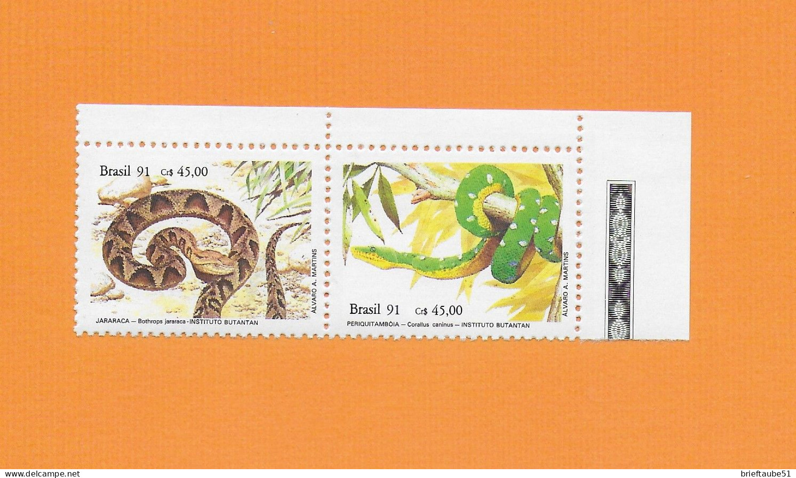 BRASILIEN BRASIL 1991  Postfrisch**MNH  MICHEL-Nr. 1415-1416 (Rand) = REPTILIEN  # SCHLANGEN  # Naturschutz: Reptilien - Serpents