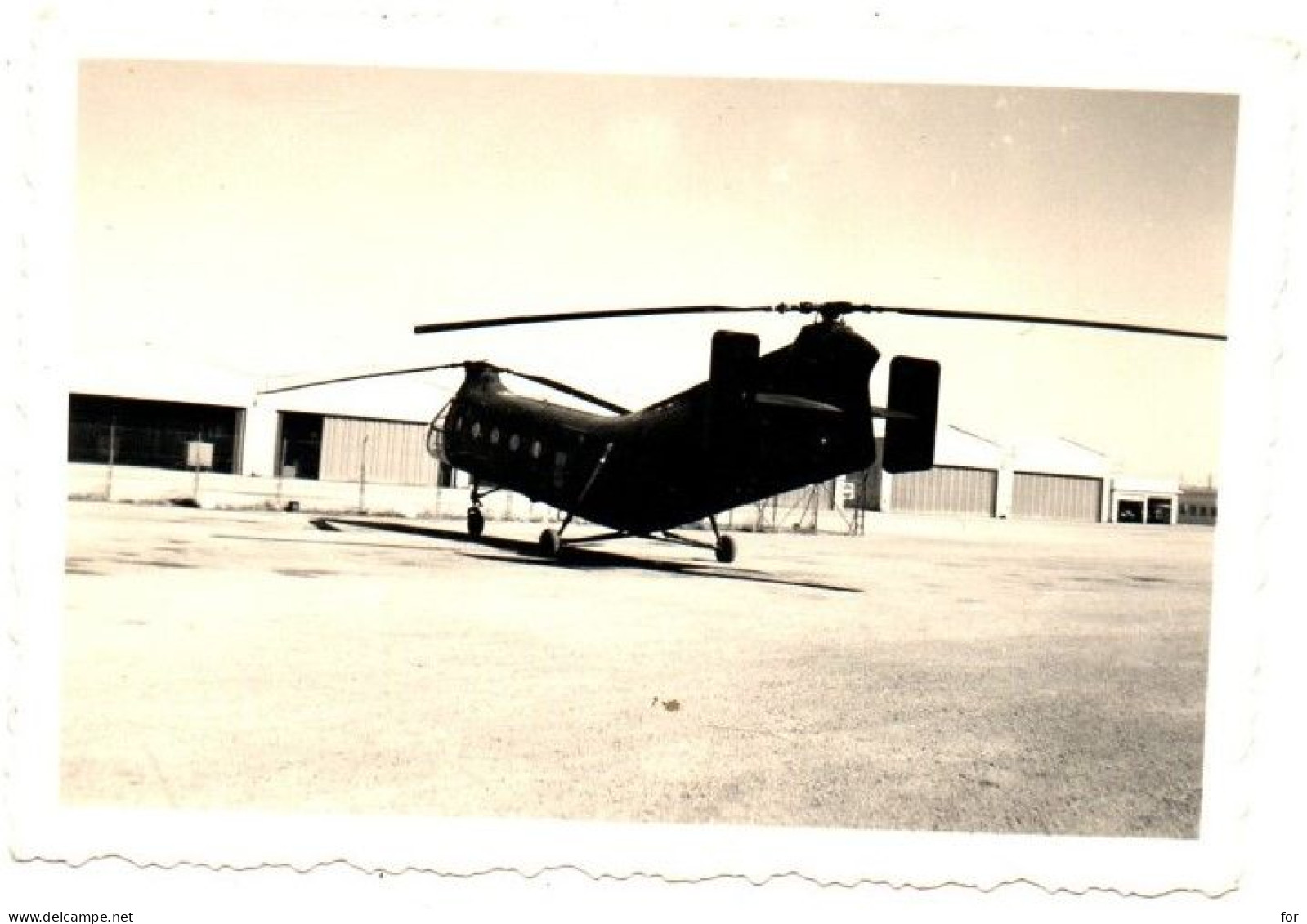 Photo Originale : Militaire - Militaria : Aviation : Hélicoptère Militaire à Identifier - Helikopters