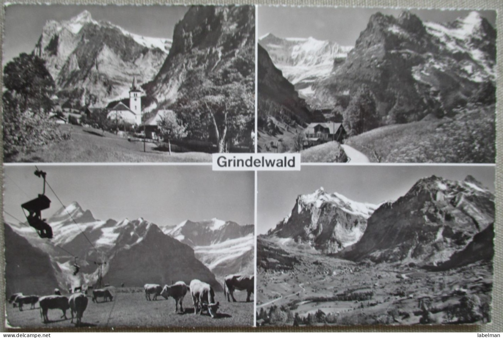 SWITZERLAND SWISS HELVETIA MISC GRINDELWALD EIGER BAHN CP PC AK POSTCARD ANSICHTSKARTE POSTKARTE CARTOLINA CARTE POSTALE - Wald