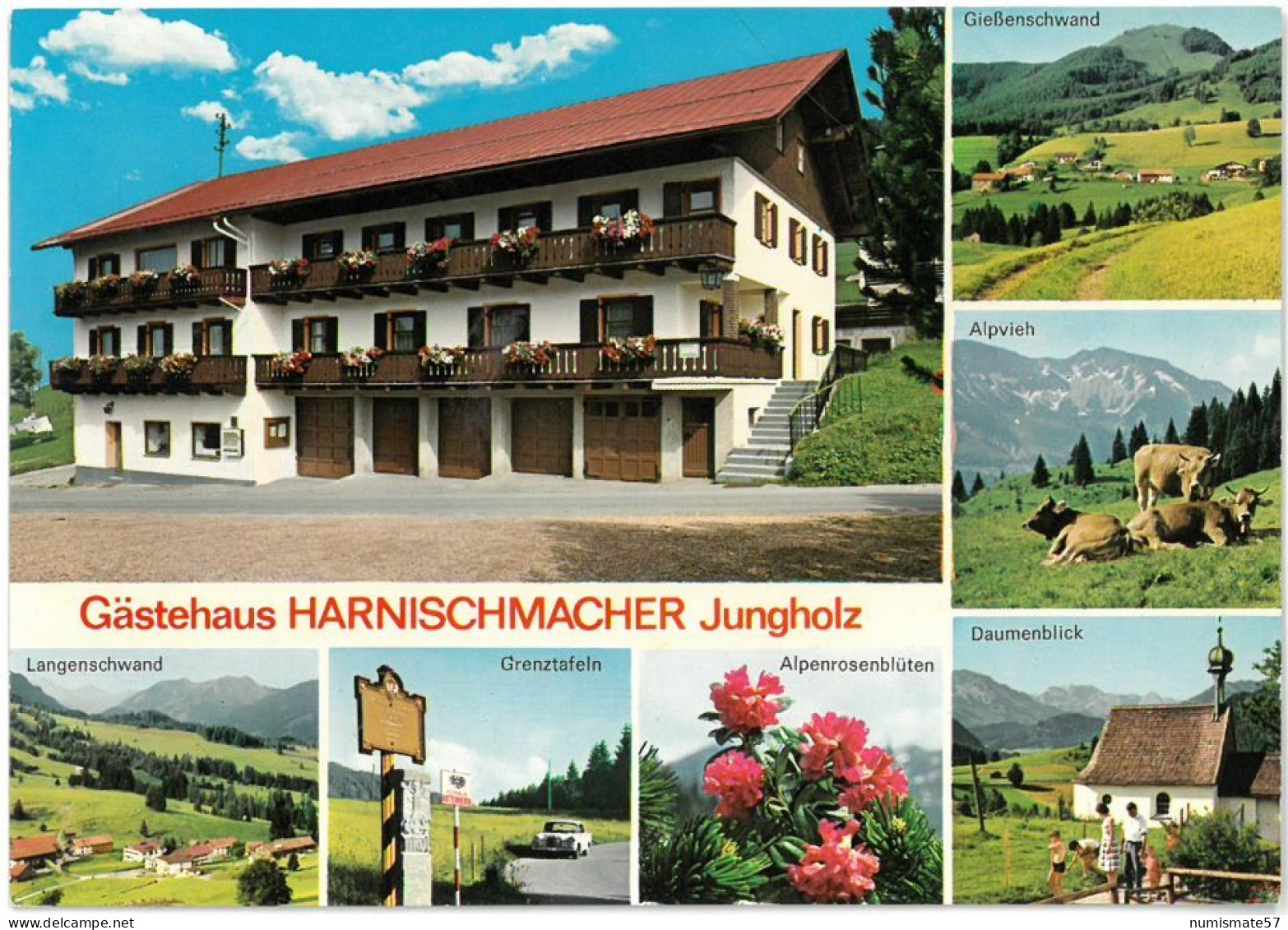 CP JUNGHOLZ - Gasthaus Harnischmacher - Multi Vues - 4 Vues - Ed. A. Tanner N°5767 C - Jungholz