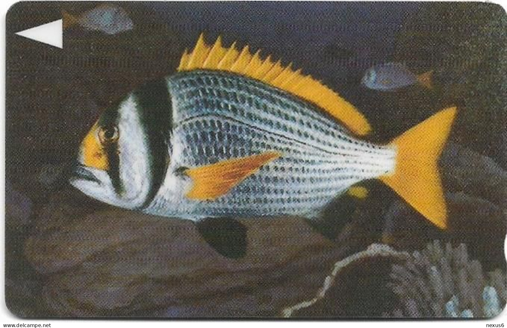 Bahrain - Batelco (GPT) - Fish Of Bahrain - Doublebar Bream - 40BAHK (Dashed Ø), 1996, 200U, Used - Baharain