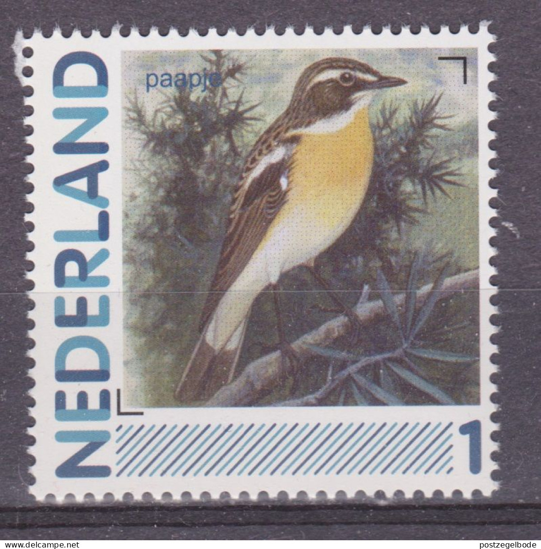 Nederland Netherlands Pays Bas Holanda Niederlande MNH : Paapje Whinchat Traquet Tarier Tarabilla Vogel Bird Ave Oiseau - Sparrows