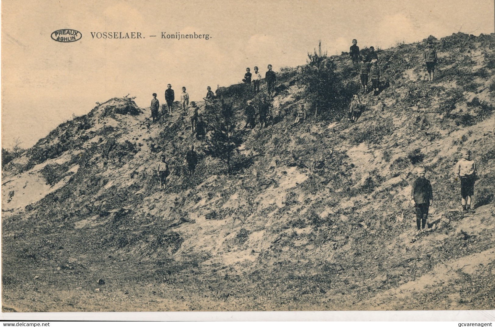 VOSSELAER  KONIJNENBERG          2 SCANS - Vosselaar