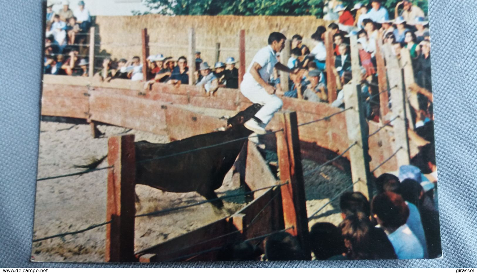 CPA CPSM COURSE DE TAUREAUX  PROVENCALE AU ARENES LES BELLES IMAGES DE PROVENCE ED G A L - Bull