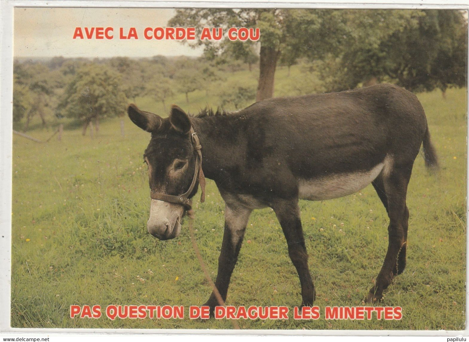 ANIMAUX 732 : Avec La Corde Au Cou  " âne " édit. Artaud Frères N° 172 - Anes