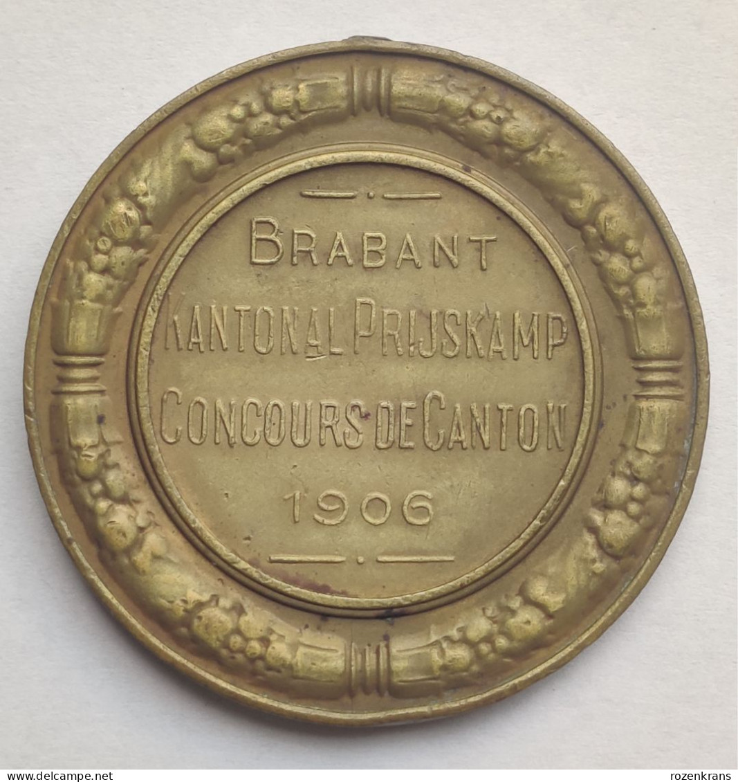 Oude Medaille CANTON BRABANT 1906 Ancienne Old Medal Jaarmarkt Prijskamp Koe Vache Cow Concours Agricole Race Bovine - Tokens Of Communes