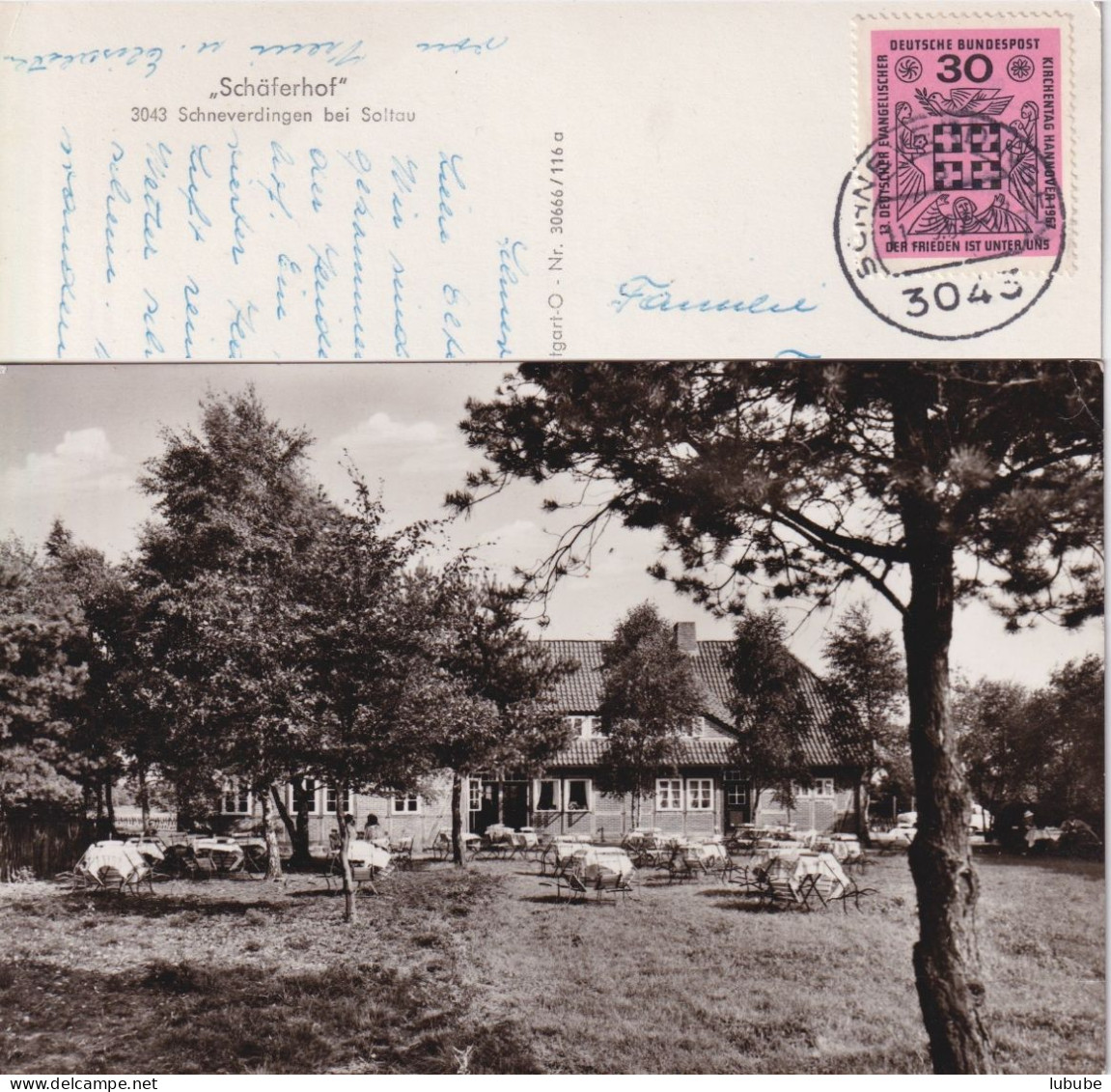 Schneverdingen Bei Soltau - Schäferhof        Ca. 1960 - Schneverdingen
