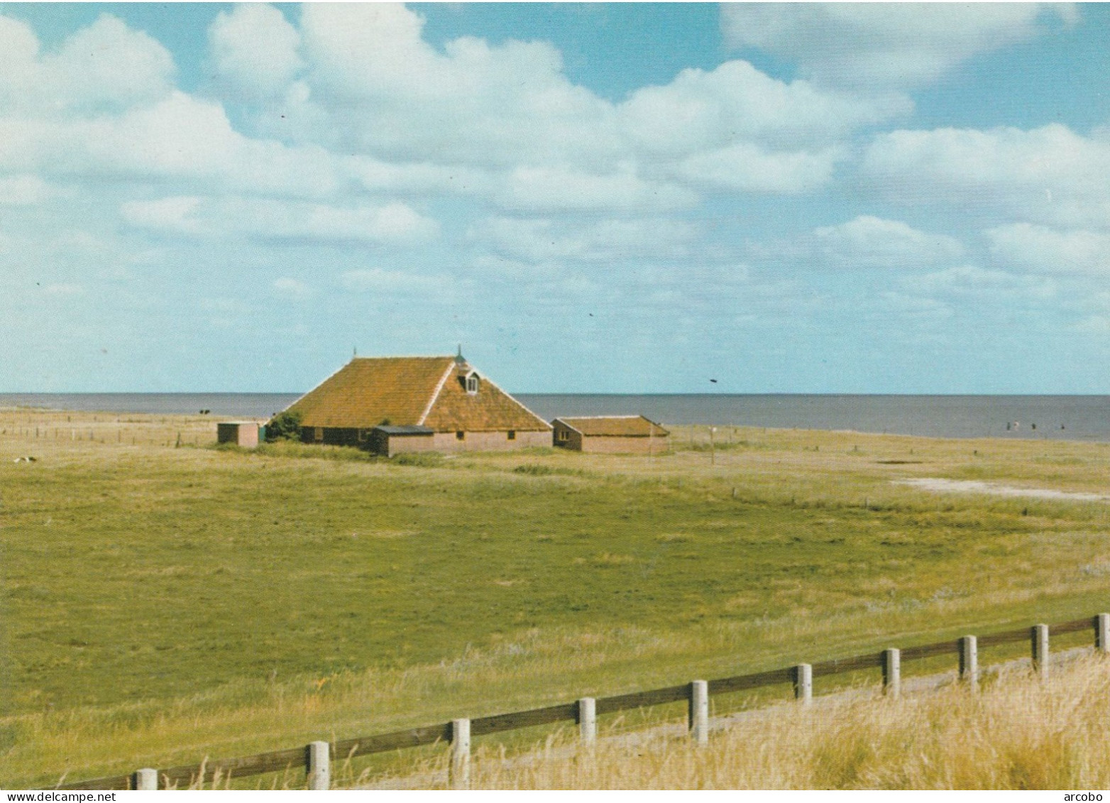 Terschelling - Wierschuur Op De Grie - Terschelling