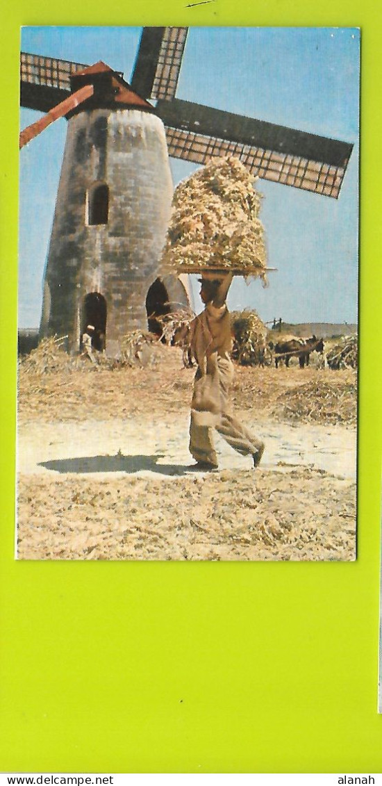 Old Fashioned Sugar Cane Windmill Barbados - Barbades