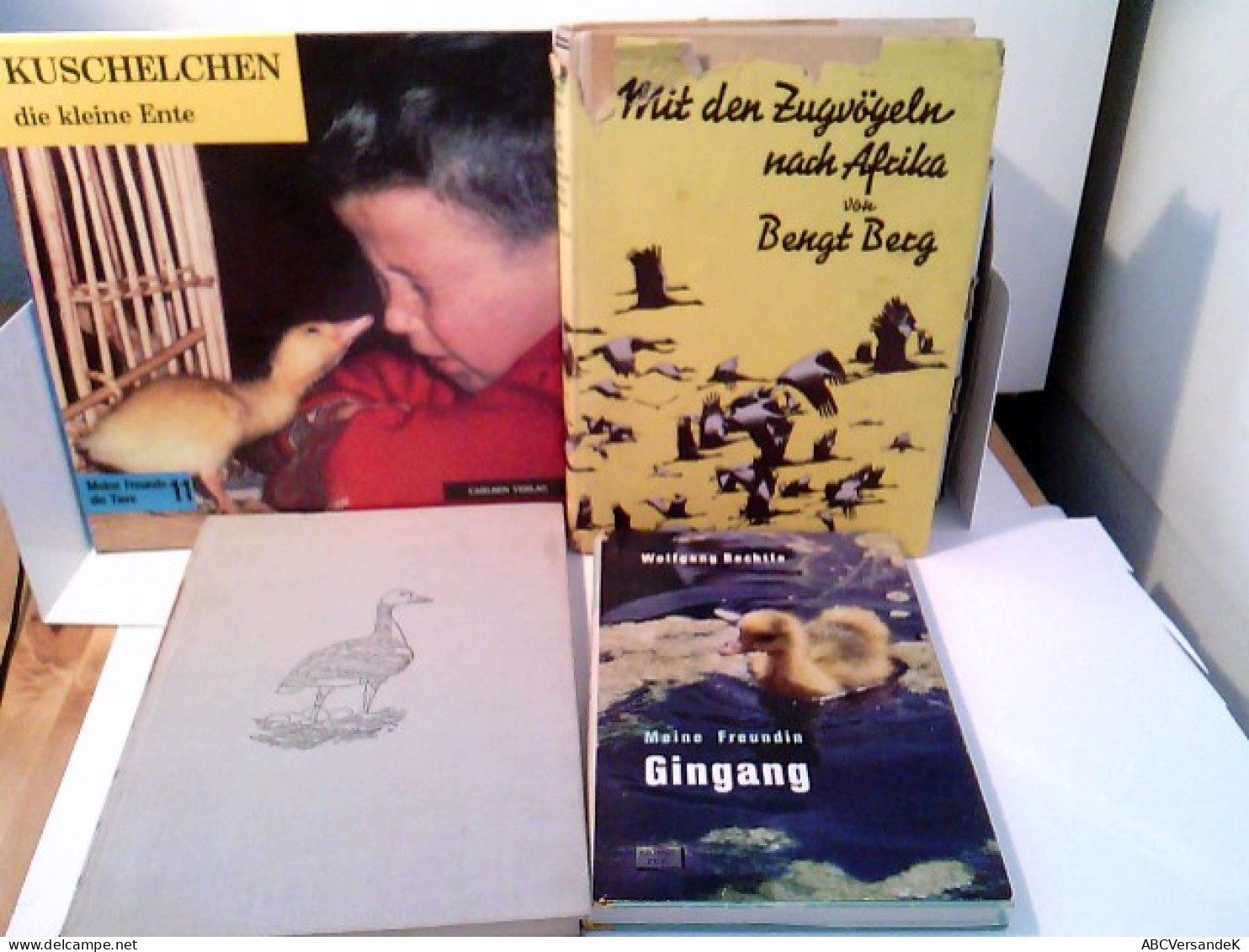 Konvolut: 4 Bände Tierbücher / Kinderbücher über Vogelzug Und Wasservögel. - Animales