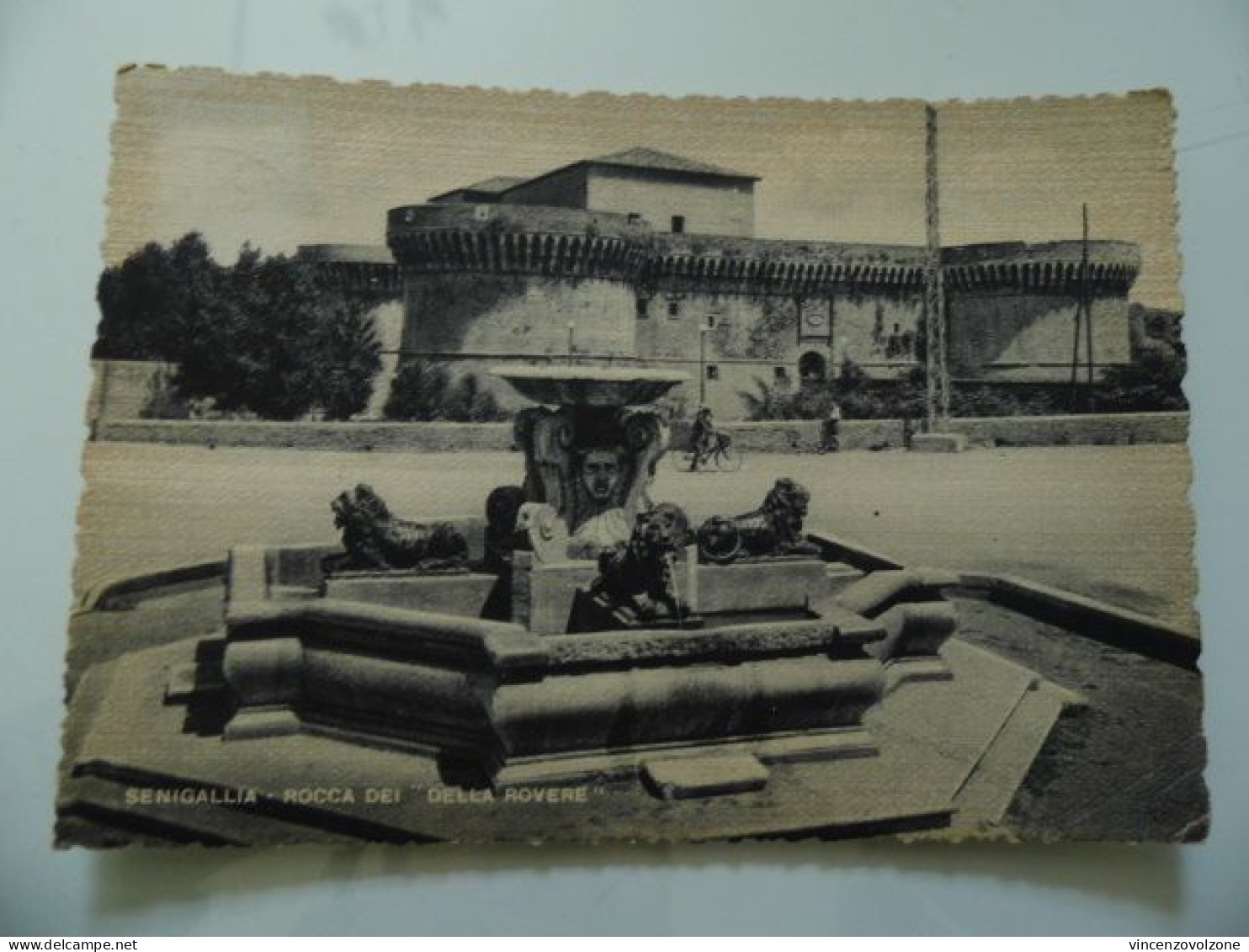 Cartolina Viaggiata  "SENIGALLIA Rocca Dei Della Rovere" 1949 - Senigallia