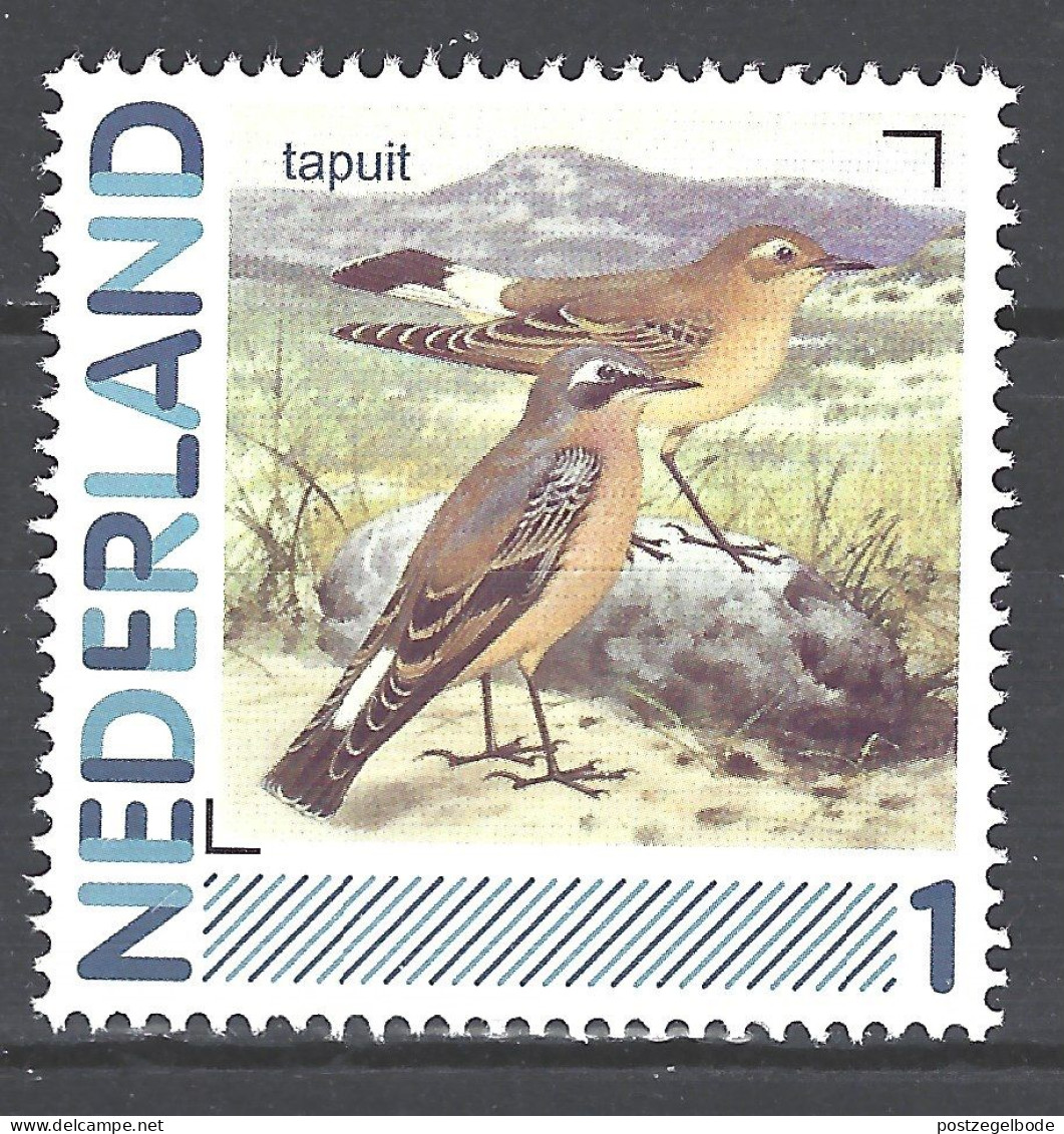 Nederland Netherlands Pays Bas Holanda MNH Tapuit Northern Wheatear Traquet Motteux Collalba Gris Vogel Bird Ave Oiseau - Sparrows