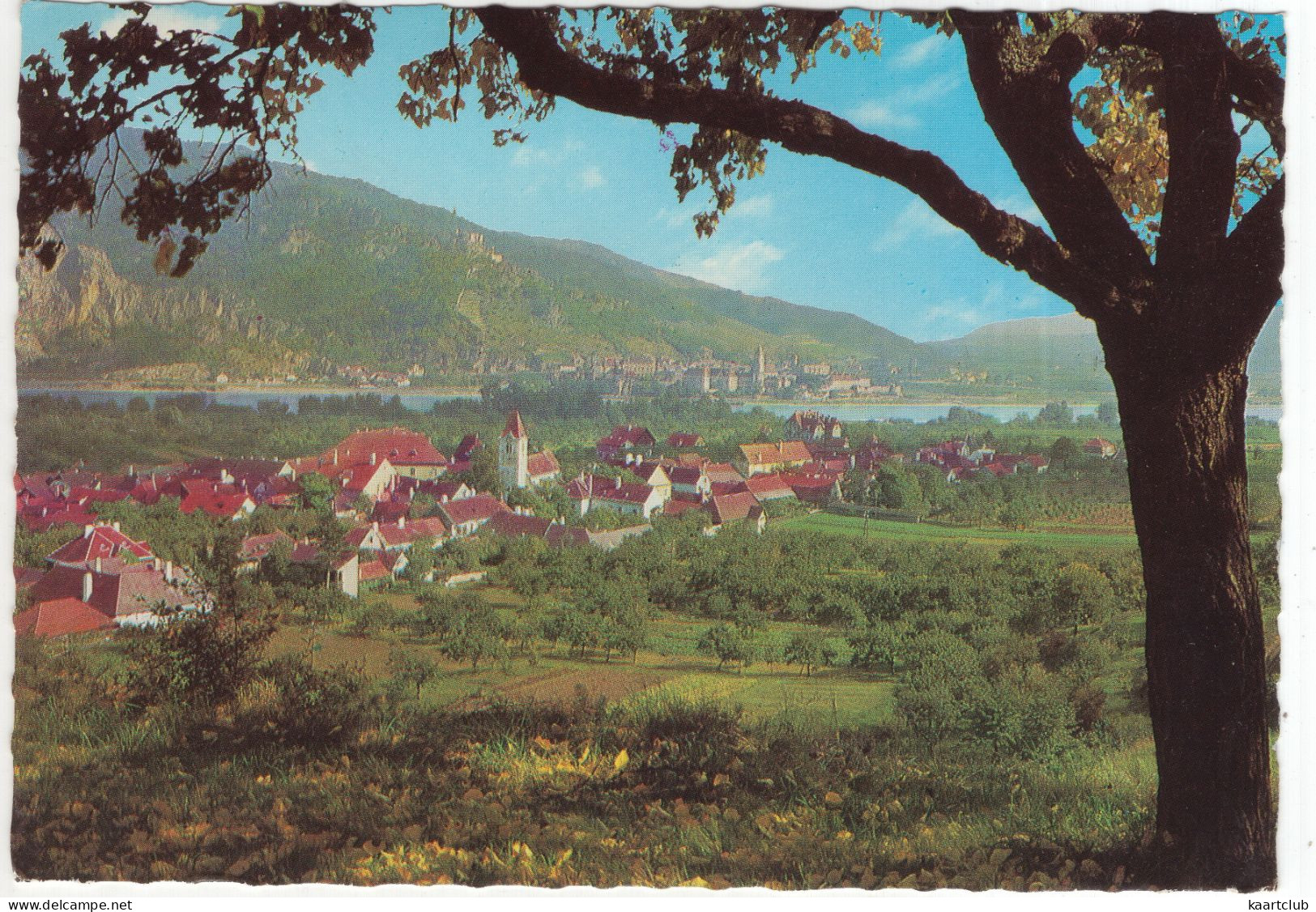 Rossatz In Der Wachau - (NÖ., Österreich/Austria) - 1976 - Krems An Der Donau