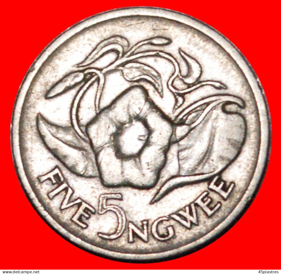 * GREAT BRITAIN (1968-1987): ZAMBIA  5 NGWEE 1972! · LOW START! · NO RESERVE!!! - Zambia