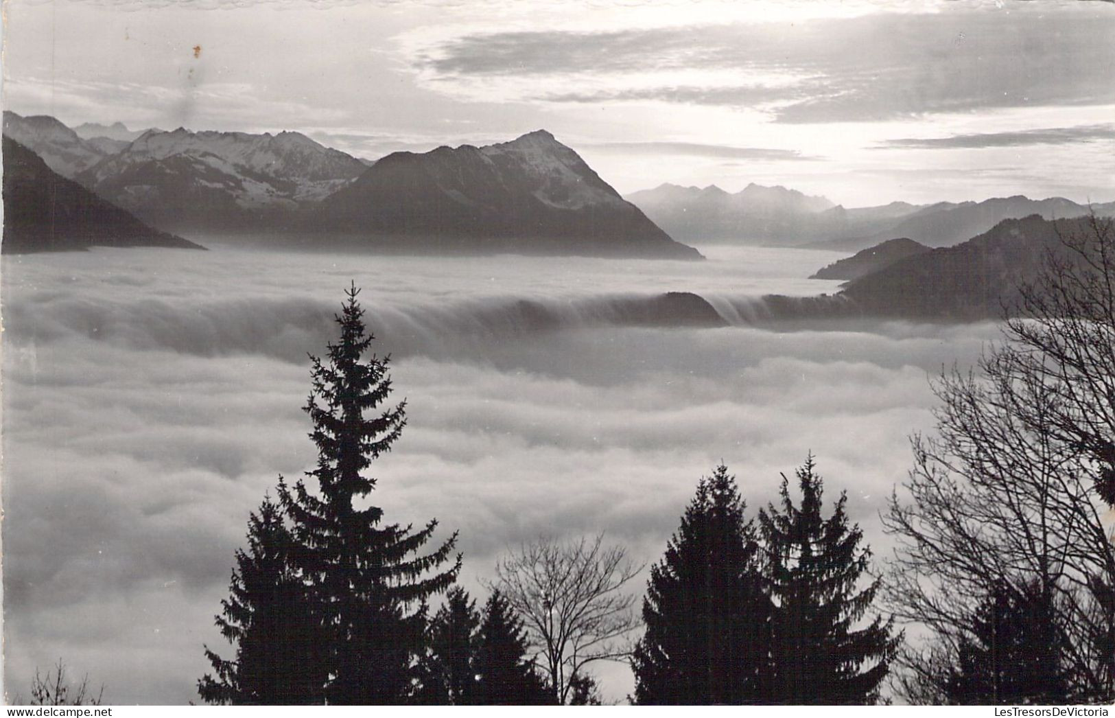 SUISSE - Blick Vom Rigi Auf Nebelmeer Und Stanserborn - Carte Postale Ancienne - Elm