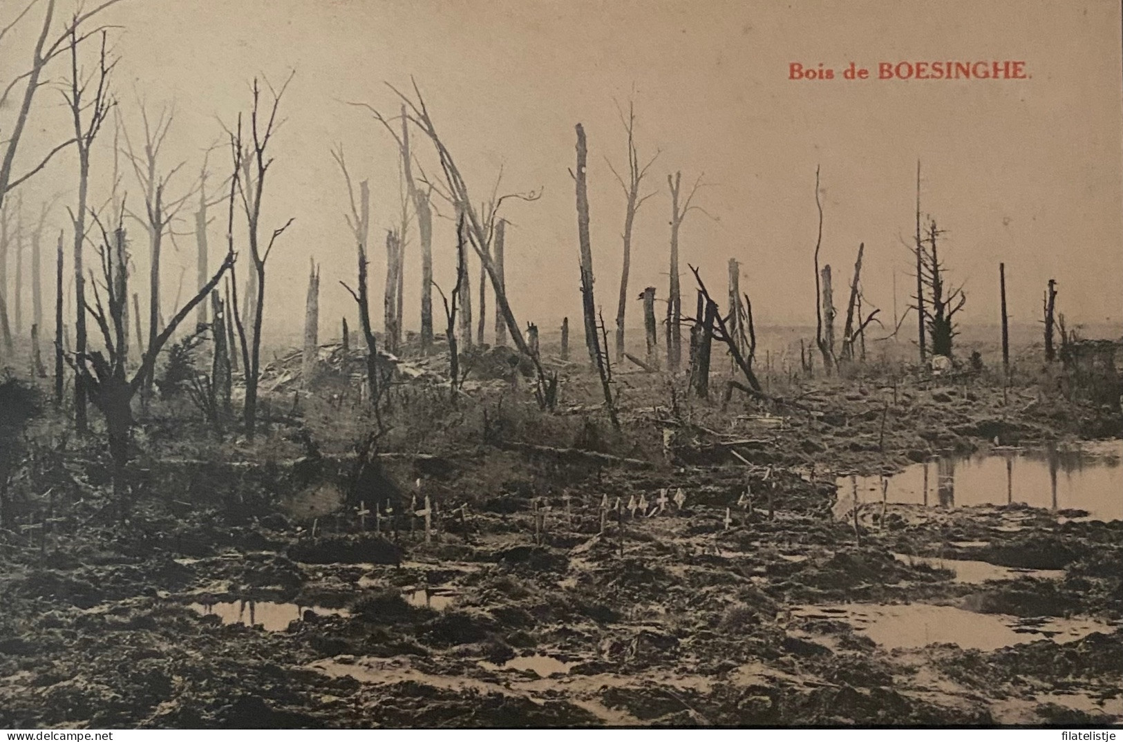 Boezinge  Het Bos Van Boezinge Kort Na De Eerste Wereldoorlog - Ieper