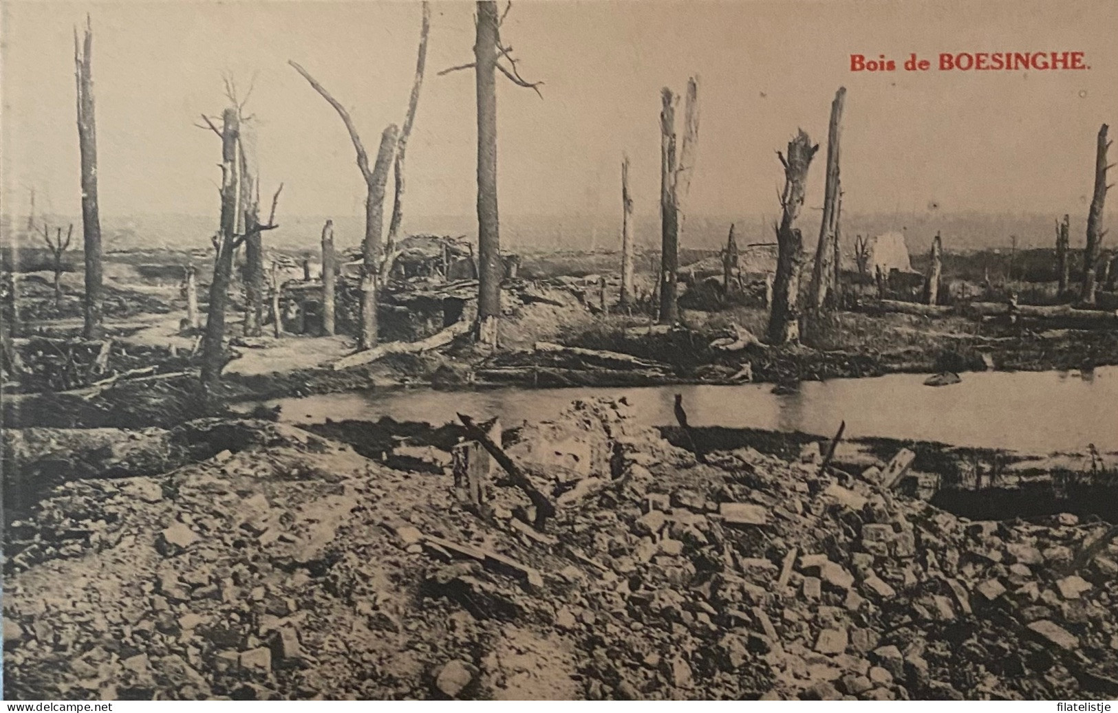 Boezinge  Het Bos Van Boezinge Kort Na De Eerste Wereldoorlog - Ieper